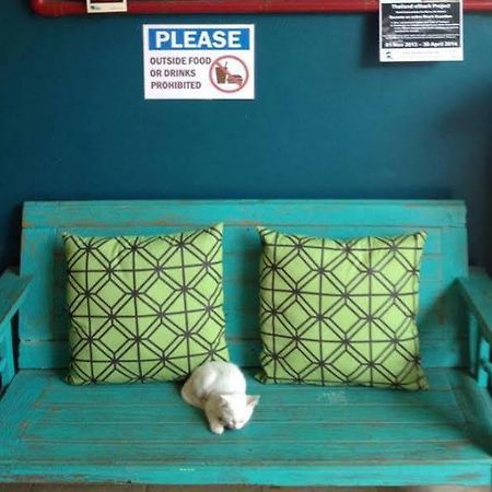 Monkey Dive Hostel Khaolak 蔻立 外观 照片